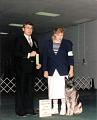 Ranger and Libby in Obedience